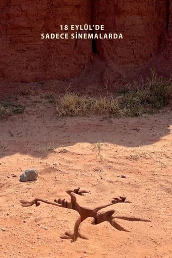 Coyote vs ACME